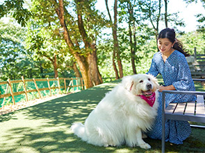 愛犬と楽しむ、那須高原の自然に囲まれたリゾートホテル ペット＆スパホテル那須ワン