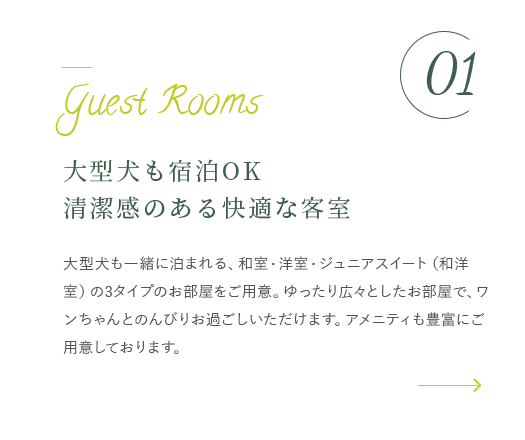 大型犬も宿泊OK清潔感のある快適な客室 詳細はこちら