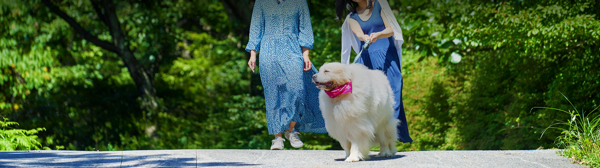 愛犬と一緒にいける周辺観光